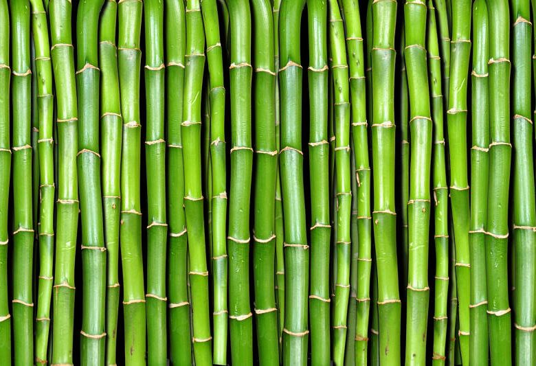These reusable ‘green’ straws from Andamans could replace plastic straws
